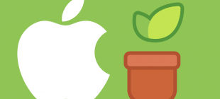 Apple Acquires Education Startup LearnSprout